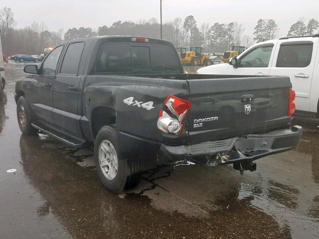 1D7HW48KX7S141581 - 2007 DODGE DAKOTA QUA BLACK photo 3