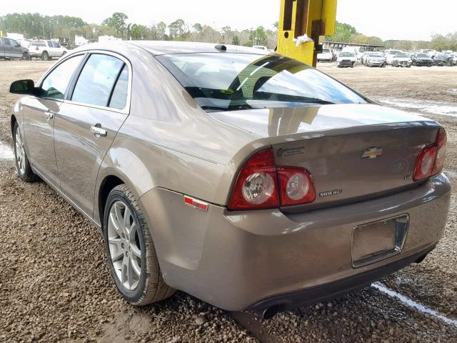 1G1ZK57718F221013 - 2008 CHEVROLET MALIBU LTZ ოქროსფერი ფოტო 3