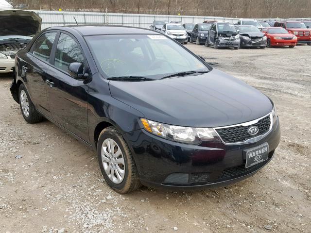 KNAFU4A24D5715293 - 2013 KIA FORTE EX BLACK photo 1