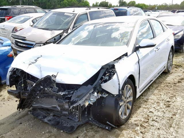 5NPE34AF4HH536844 - 2017 HYUNDAI SONATA SPO WHITE photo 2