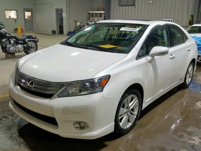 JTHBB1BA1A2035486 - 2010 LEXUS HS 250H WHITE photo 2