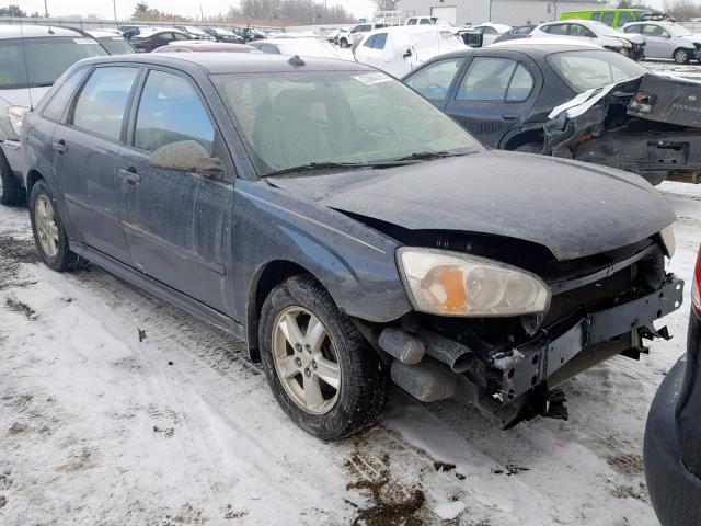 1G1ZT64874F201374 - 2004 CHEVROLET MALIBU MAX ლურჯი ფოტო 1