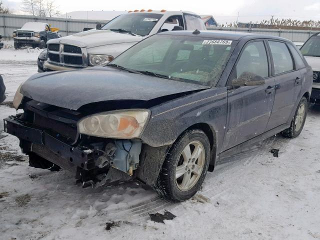 1G1ZT64874F201374 - 2004 CHEVROLET MALIBU MAX ლურჯი ფოტო 2