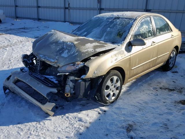 KNAFE221095659352 - 2009 KIA SPECTRA EX GOLD photo 2