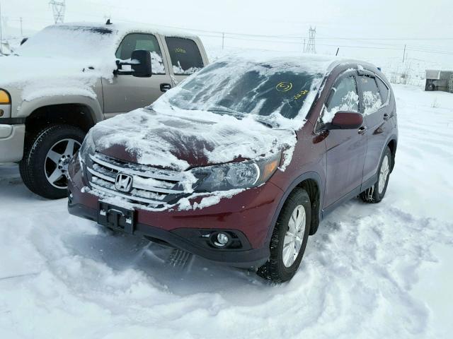 5J6RM4H74EL116905 - 2014 HONDA CR-V EXL BURGUNDY photo 2