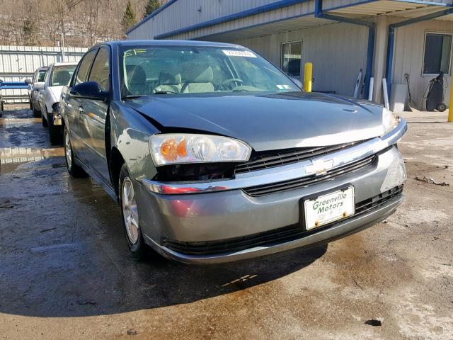 1G1ZT54895F157759 - 2005 CHEVROLET MALIBU LS GRAY photo 1