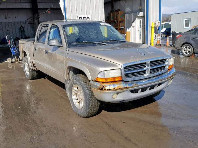 1B7HG48N52S518778 - 2002 DODGE DAKOTA QUA GOLD photo 1