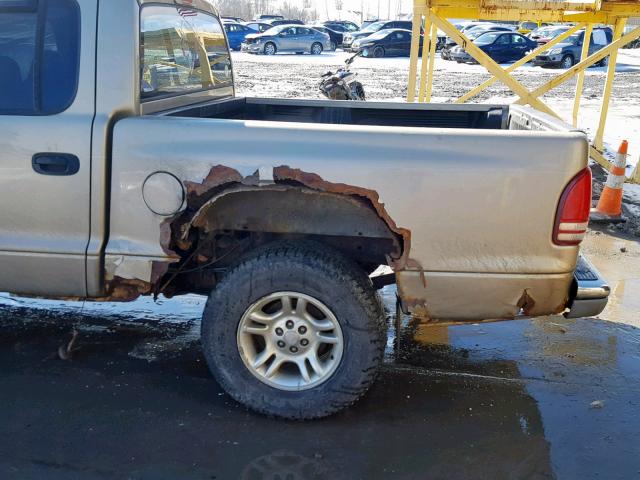 1B7HG48N52S518778 - 2002 DODGE DAKOTA QUA GOLD photo 9