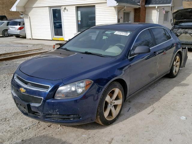 1G1ZA5EU2BF194679 - 2011 CHEVROLET MALIBU LS Көк фото 2