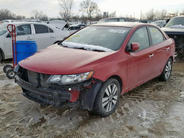 KNAFU4A21D5684178 - 2013 KIA FORTE EX RED photo 2