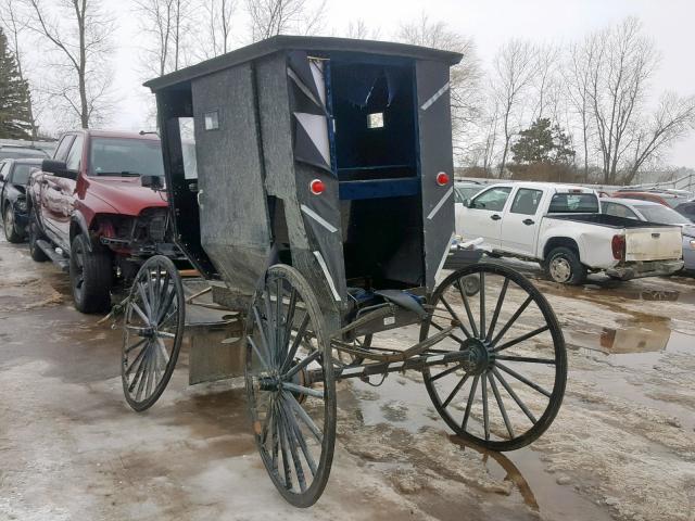 BUGGY - 2011 HORS BUGGY BLACK photo 3