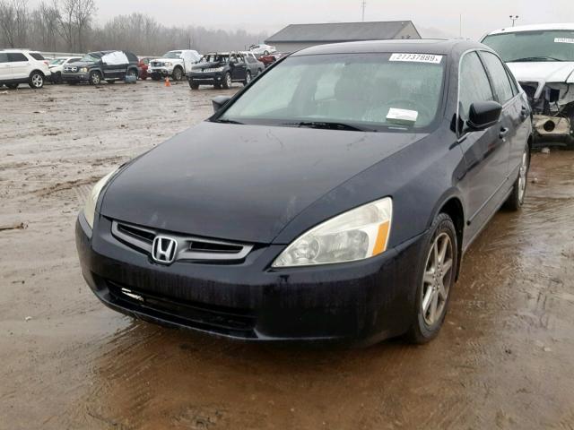 1HGCM66583A098301 - 2003 HONDA ACCORD BLACK photo 2