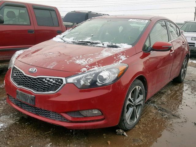 KNAFZ4A89E5095449 - 2014 KIA FORTE EX RED photo 2