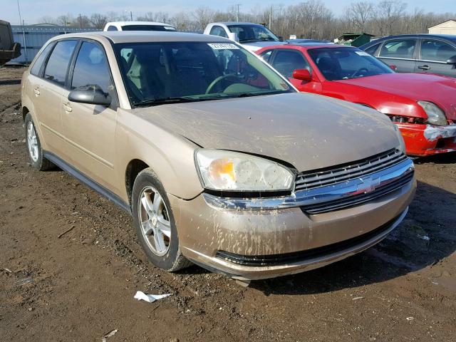 1G1ZT62895F181259 - 2005 CHEVROLET MALIBU MAX თაფლისფერი ფოტო 1