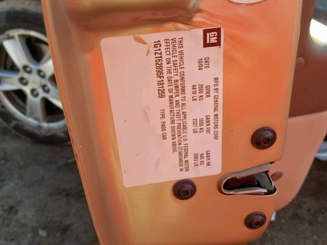 1G1ZT62895F181259 - 2005 CHEVROLET MALIBU MAX თაფლისფერი ფოტო 10