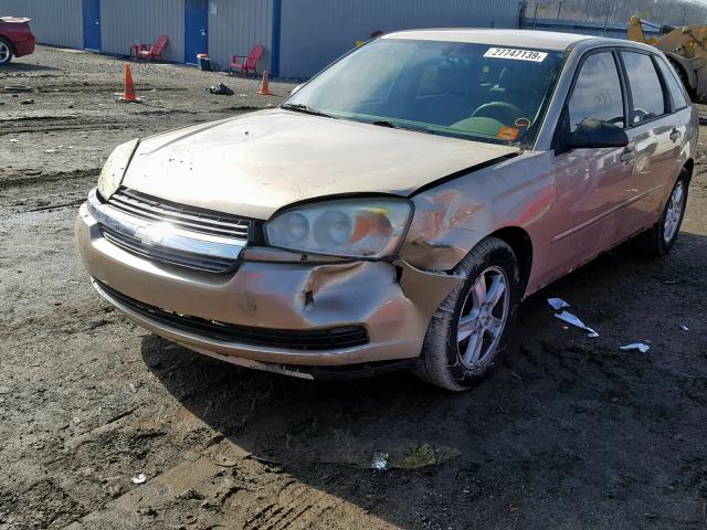 1G1ZT62895F181259 - 2005 CHEVROLET MALIBU MAX თაფლისფერი ფოტო 2