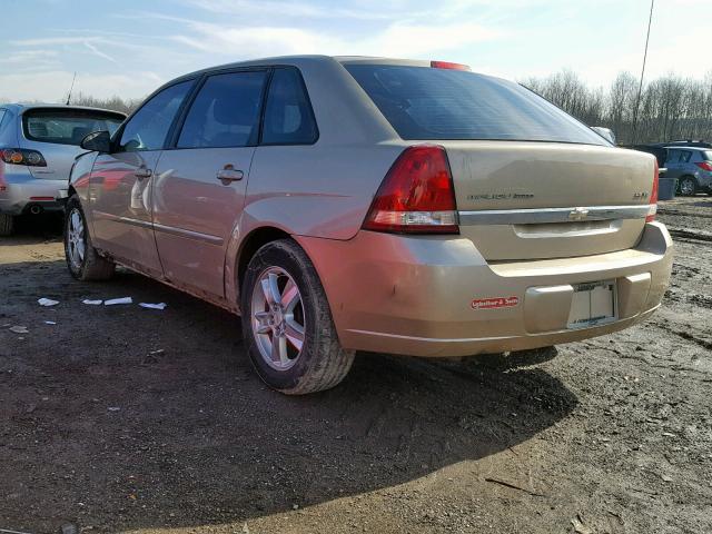 1G1ZT62895F181259 - 2005 CHEVROLET MALIBU MAX თაფლისფერი ფოტო 3
