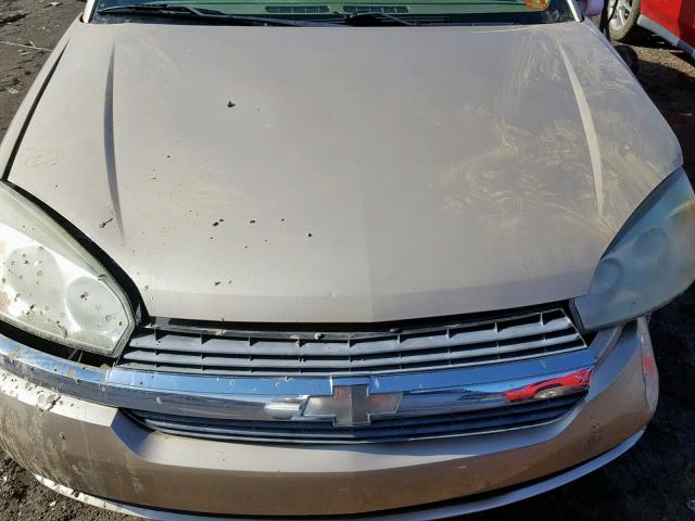 1G1ZT62895F181259 - 2005 CHEVROLET MALIBU MAX თაფლისფერი ფოტო 7