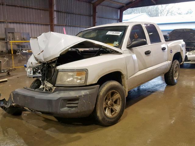 1D7HE38K88S551536 - 2008 DODGE DAKOTA SXT WHITE photo 2