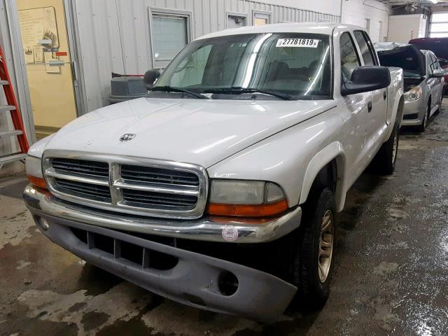 1D7HG48N34S654397 - 2004 DODGE DAKOTA QUA WHITE photo 2