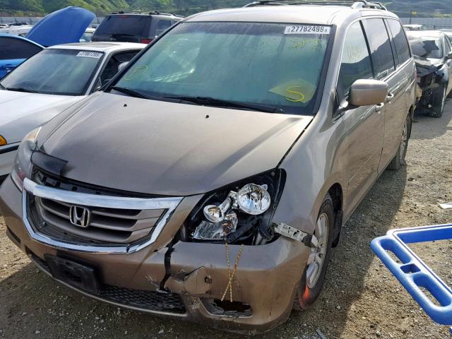 5FNRL3H45AB103229 - 2010 HONDA ODYSSEY EX GOLD photo 2