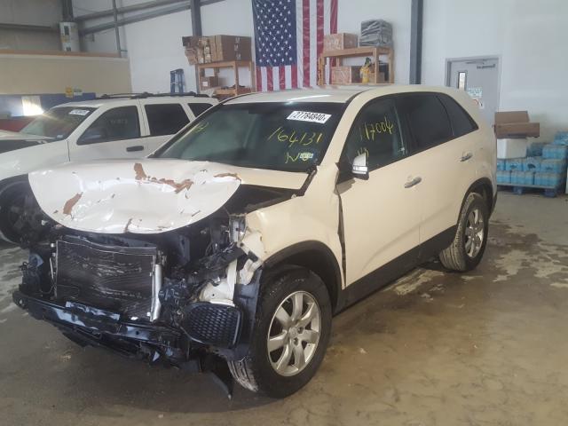 5XYKT3A12BG164131 - 2011 KIA SORENTO BASE  photo 2