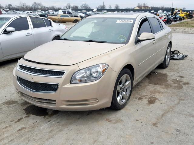 1G1ZC5EB8AF286662 - 2010 CHEVROLET MALIBU 1LT თაფლისფერი ფოტო 2
