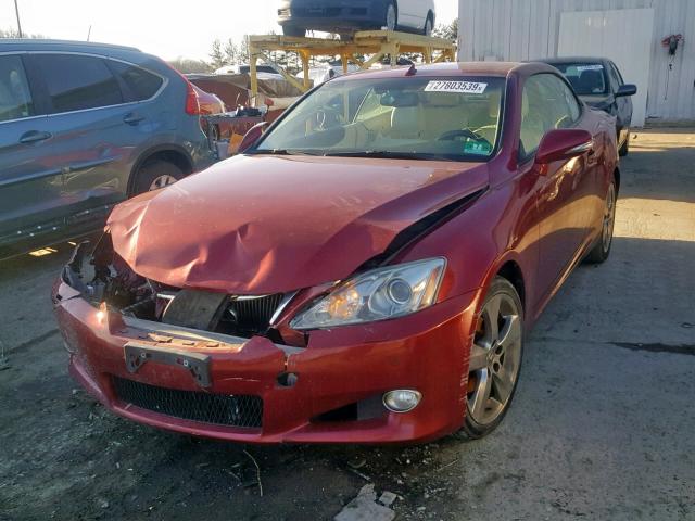 JTHFF2C29A2511678 - 2010 LEXUS IS 250 RED photo 2