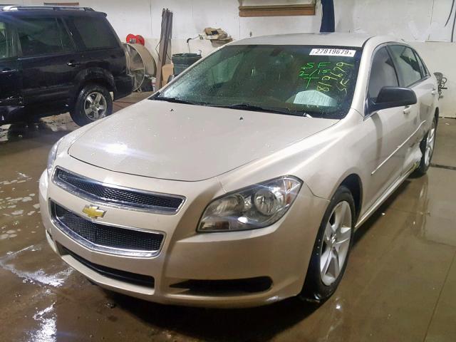 1G1ZB5EBXAF318546 - 2010 CHEVROLET MALIBU LS TAN photo 2