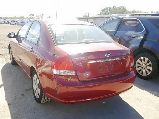 KNAFE221295651284 - 2009 KIA SPECTRA EX RED photo 3