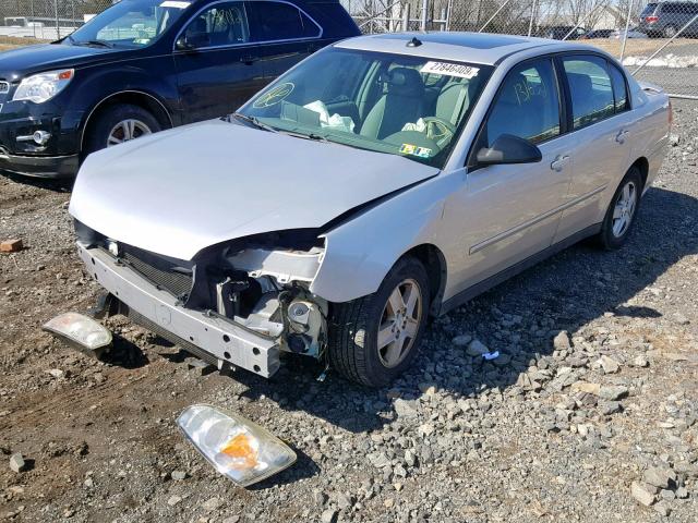 1G1ZT54805F243753 - 2005 CHEVROLET MALIBU LS SILVER photo 2