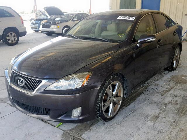 JTHBF5C28A5111254 - 2010 LEXUS IS 250 GRAY photo 2