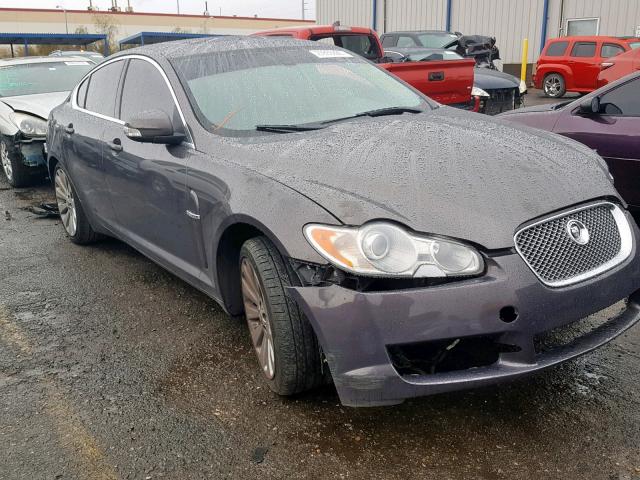 SAJWA05B49HR24443 - 2009 JAGUAR XF LUXURY PURPLE photo 1