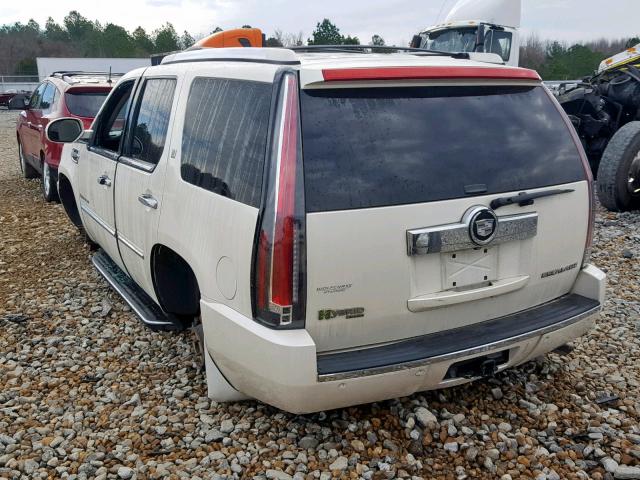 1GYFC43539R123147 - 2009 CADILLAC ESCALADE H WHITE photo 3