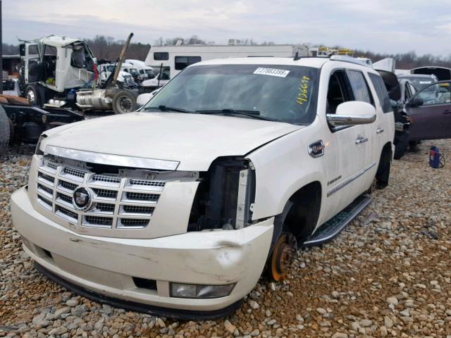 1GYFC43539R123147 - 2009 CADILLAC ESCALADE H WHITE photo 9