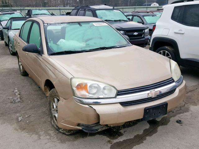 1G1ZT54884F234068 - 2004 CHEVROLET MALIBU LS GOLD photo 1
