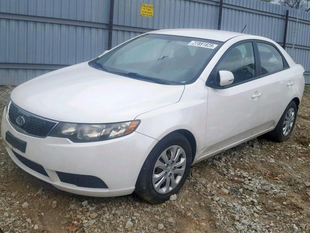 KNAFU4A20B5378845 - 2011 KIA FORTE EX WHITE photo 2