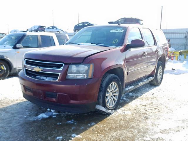 1GNFK135X9R140302 - 2009 CHEVROLET TAHOE HYBR RED photo 2