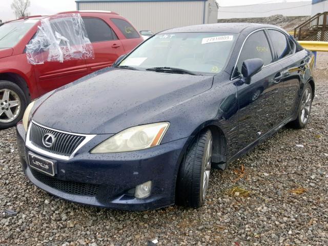 JTHBK262695096240 - 2009 LEXUS IS 250 BLUE photo 2