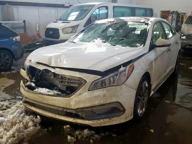 5NPE34AB4GH344092 - 2016 HYUNDAI SONATA SPO WHITE photo 2