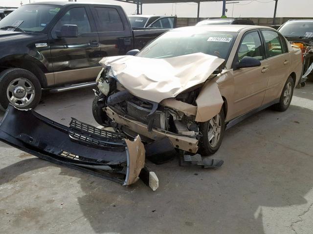 1G1ZT54885F128558 - 2005 CHEVROLET MALIBU LS TAN photo 2