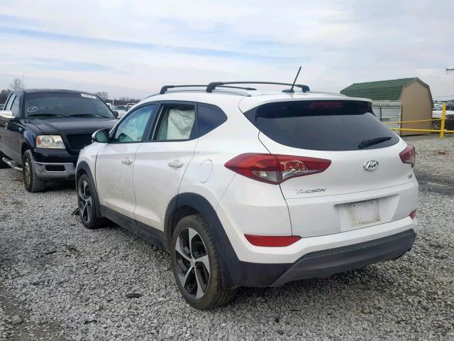 KM8J33A26GU194142 - 2016 HYUNDAI TUCSON LIM WHITE photo 3