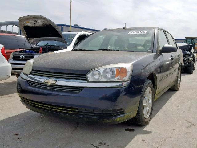 1G1ZT54835F246582 - 2005 CHEVROLET MALIBU LS Mavi foto 2