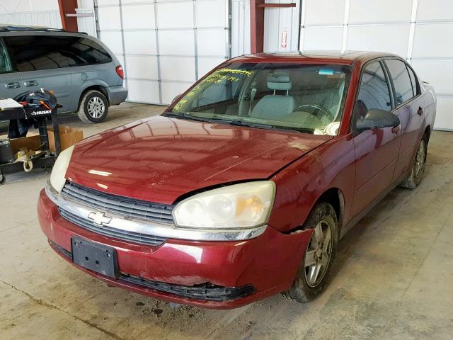 1G1ZT54885F332292 - 2005 CHEVROLET MALIBU LS RED photo 2