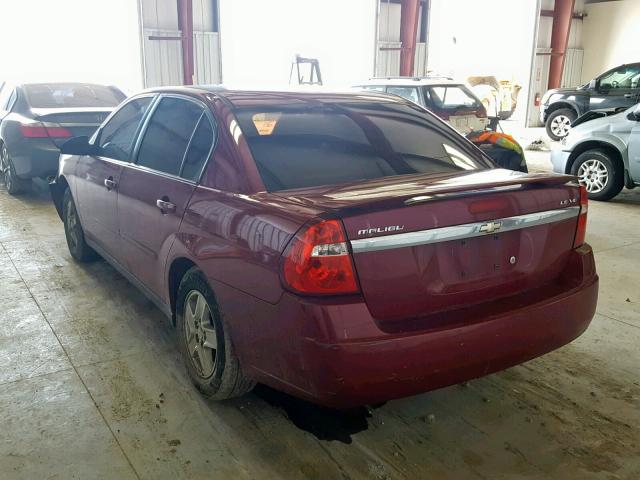 1G1ZT54885F332292 - 2005 CHEVROLET MALIBU LS RED photo 3
