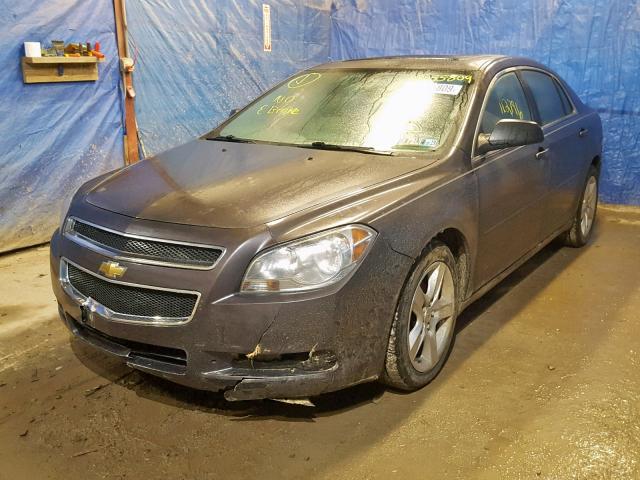 1G1ZB5EB0AF268658 - 2010 CHEVROLET MALIBU LS PURPLE photo 2