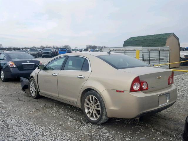 1G1ZE5EBXAF154352 - 2010 CHEVROLET MALIBU LTZ ოქროსფერი ფოტო 3