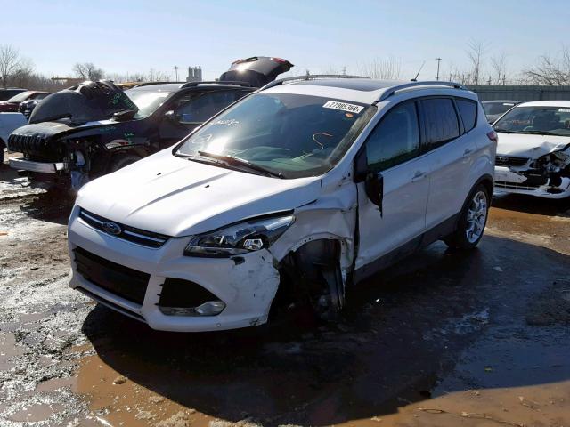 1FMCU9J94EUA62130 - 2014 FORD ESCAPE TIT WHITE photo 2