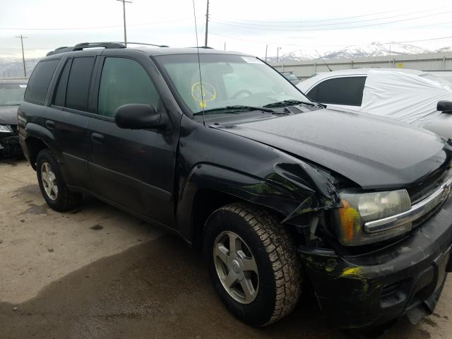 1GNDT13S152187098 - 2005 CHEVROLET TRAILBLAZER LS  photo 9