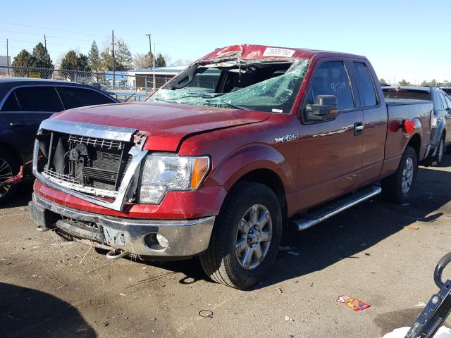 1FTFX1EF8DKE11374 - 2013 FORD F150 SUPER CAB  photo 2